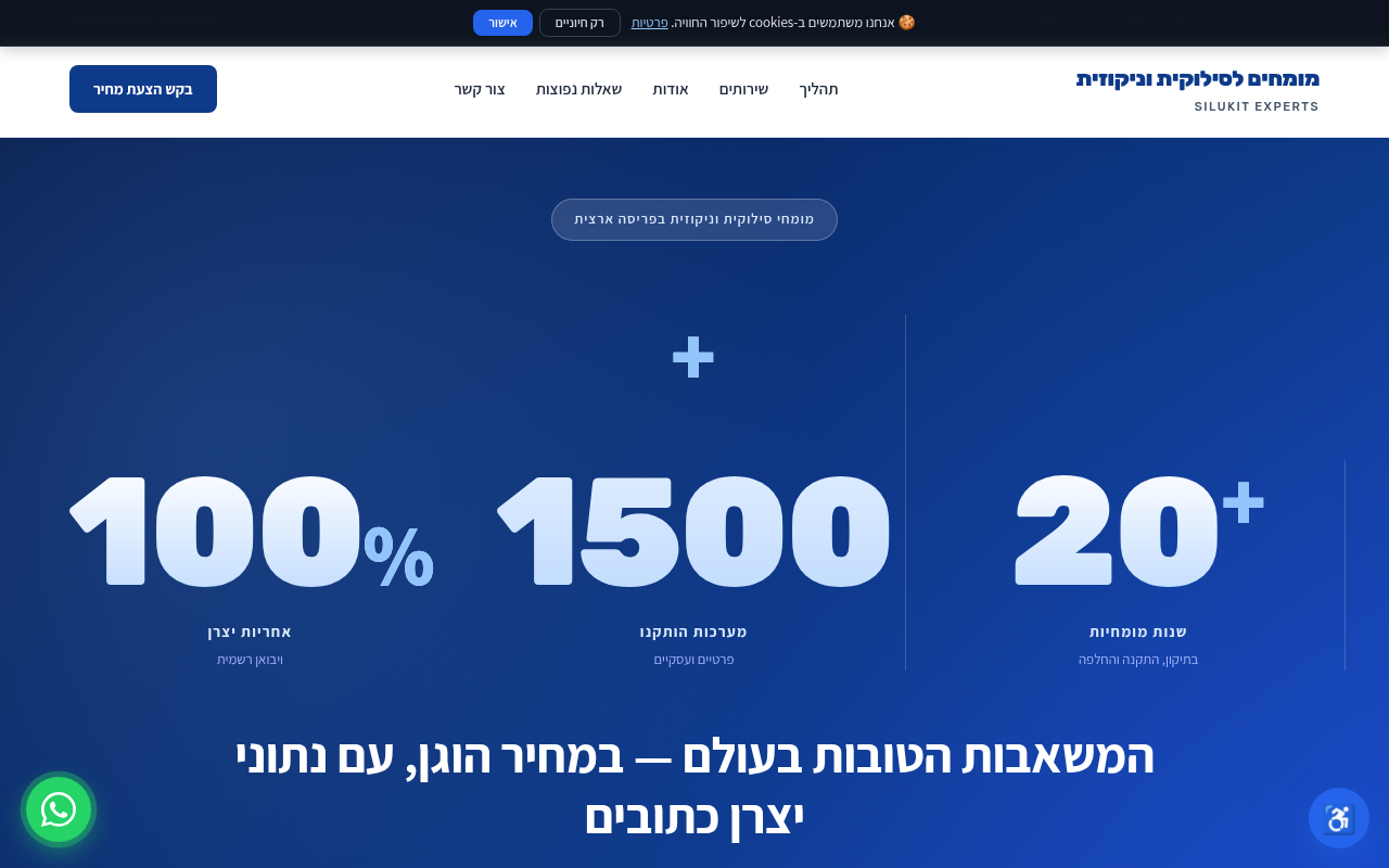מומחים לתיקון סילוקית וניקוזית